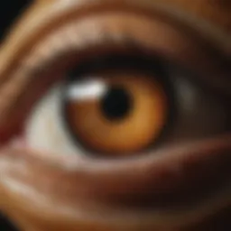 A close-up view of a catseye gemstone showcasing its chatoyancy effect