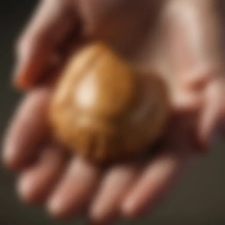 A hand holding a fortune cookie, representing the personal connection to the fortune within.