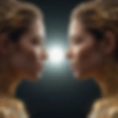 Gemini duality portrayed through a mirror reflection