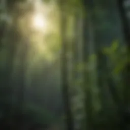 Mystical Bamboo Plant for Luck