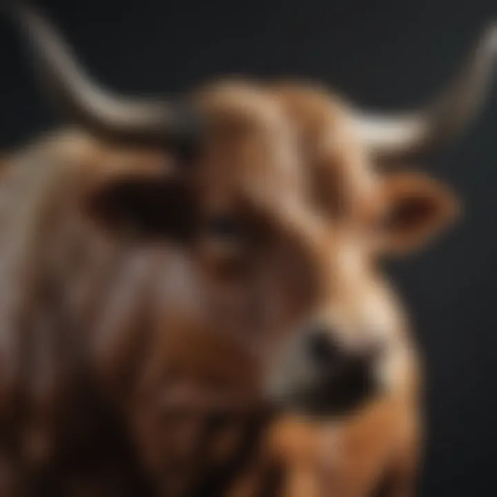 Majestic Bull Symbolizing Taurus Astrology