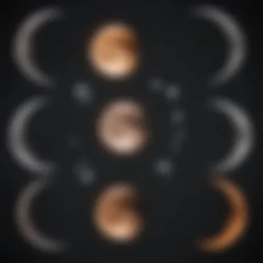 Moon phases illustration