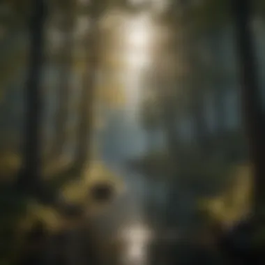 Moonlit Serenity in Tranquil Forest Setting Moonlit Serenity in Tranquil Forest Setting