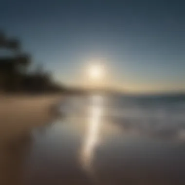 Illustration of a serene moonlit beach reflecting Cancer traits