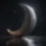 Crescent moon with stars