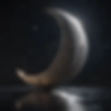 Crescent moon with stars