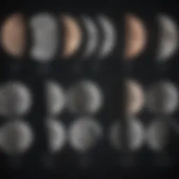 Moon Phases Infographic